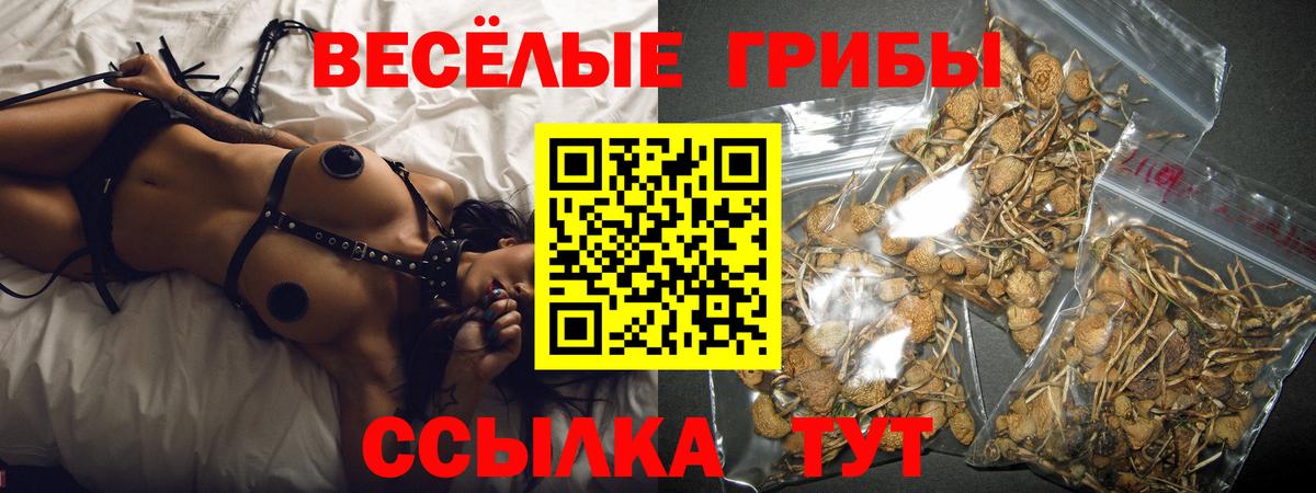 Галлюциногенные грибы Psilocybine cubensis Верхняя Пышма
