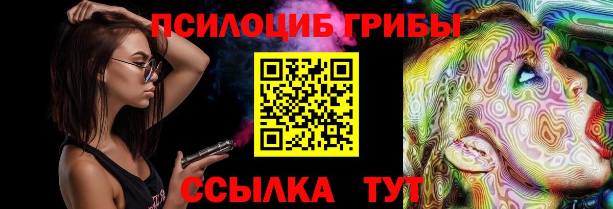 Галлюциногенные грибы GOLDEN TEACHER  Вход с VPN  Верхняя Пышма 